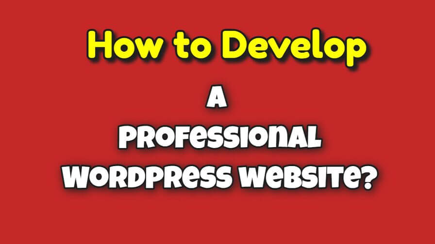 professional wordpress website