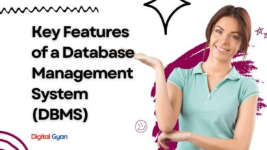 features of database management systems