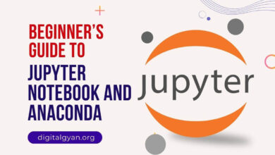 jupyter notebook