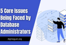 issues faced by database administrators