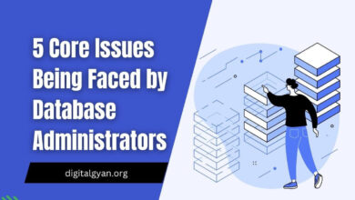 issues faced by database administrators