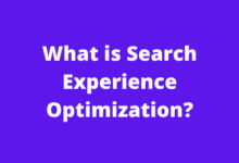what is search experience optimization?