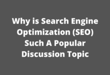 why is search engine optimization (seo) such a popular discussion topic
