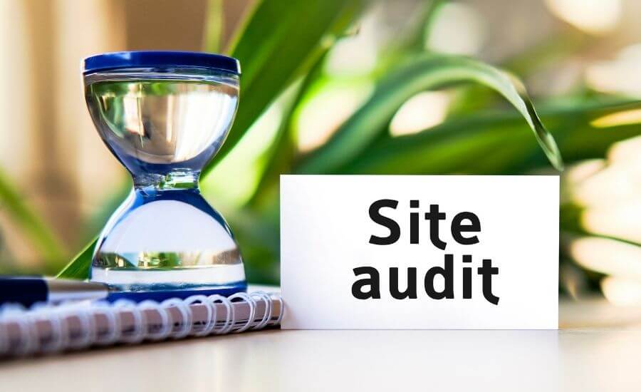 website audit