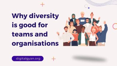 diversity for teams