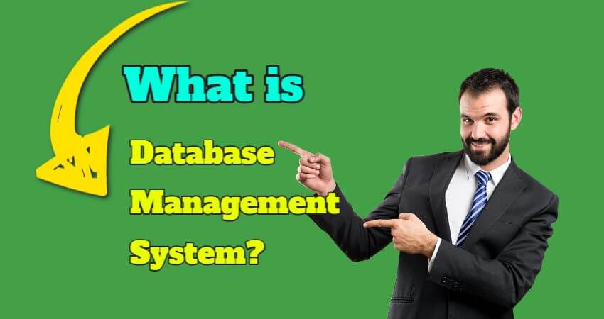 database management system important