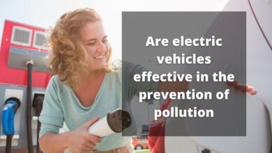 are electric vehicles effective in the prevention of pollution