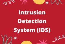 intrusion detection system (ids)