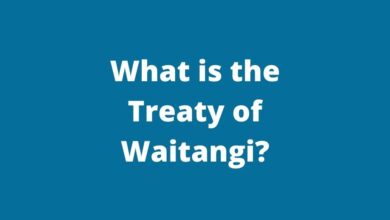 what is the treaty of waitangi
