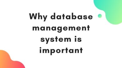 why is a database management system important