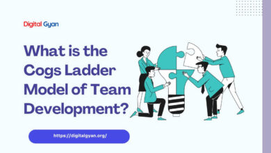 cogs ladder model