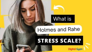 holmes and rahe stress scale
