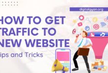 traffic to new website
