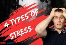 types of stress