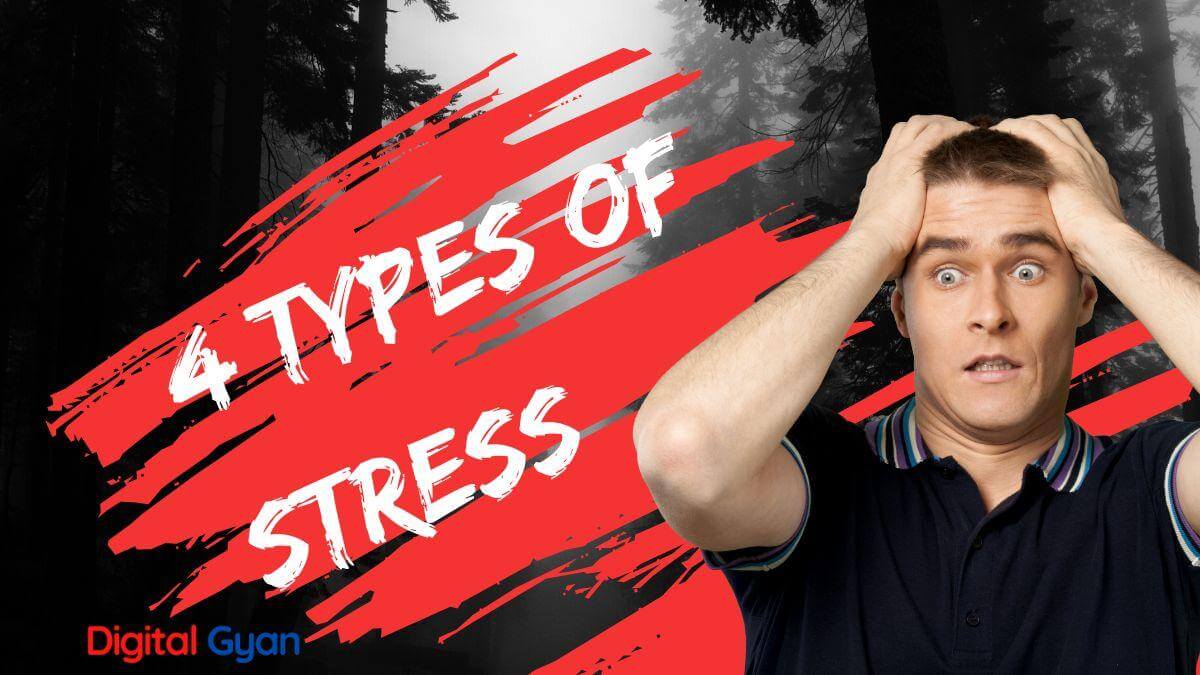 what are albrecht’s four types of stress