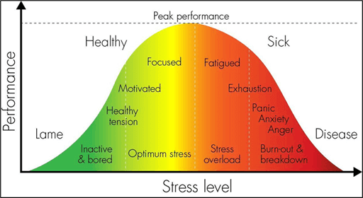 the inverted-u theory  yerkes-dodson law