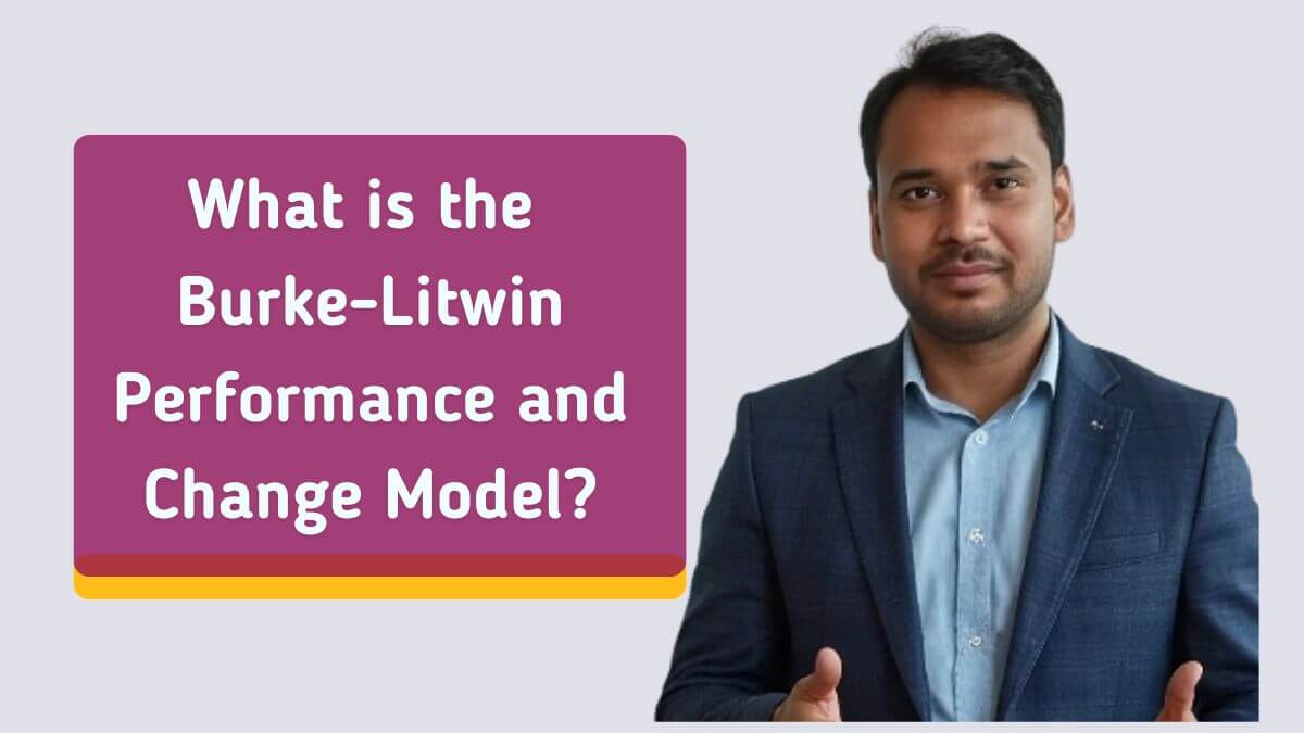 what is the burke-litwin performance and change model?