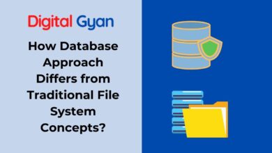 how database approach differs from traditional file system concepts?