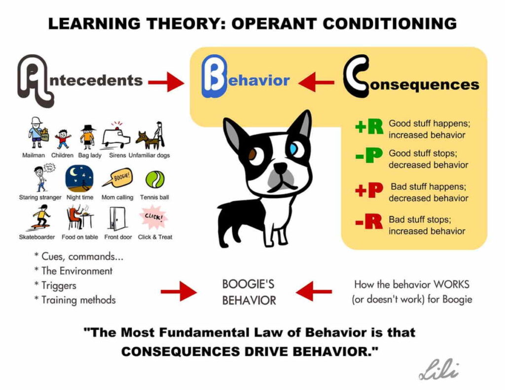 4 theories of learning diagram