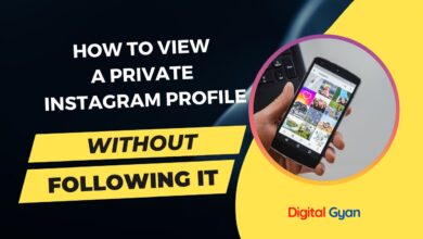 view a private instagram profile