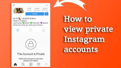 view private instagram profile without following