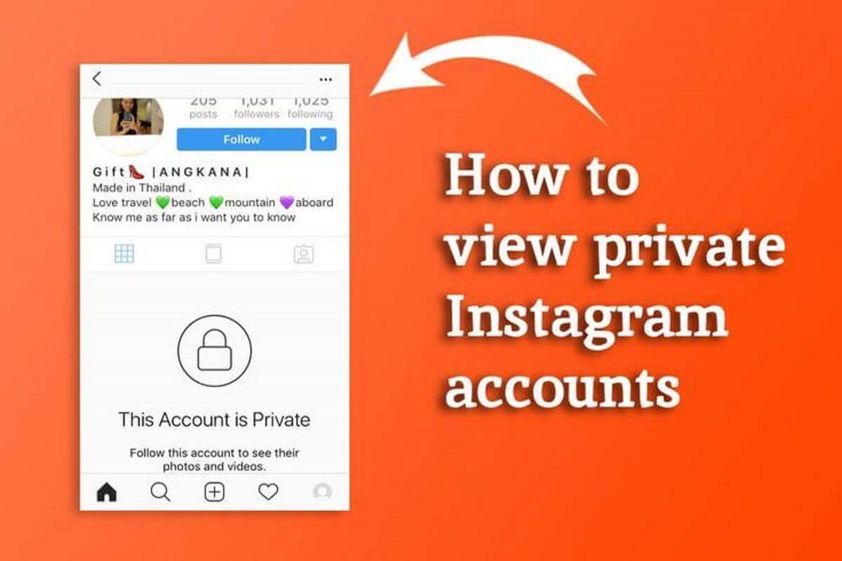 Without instagram private how to view following photos View Private
