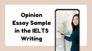 opinion essay sample