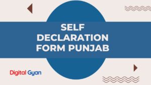 self declaration form