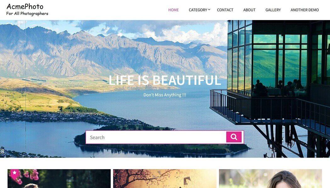 acmephoto photography theme
