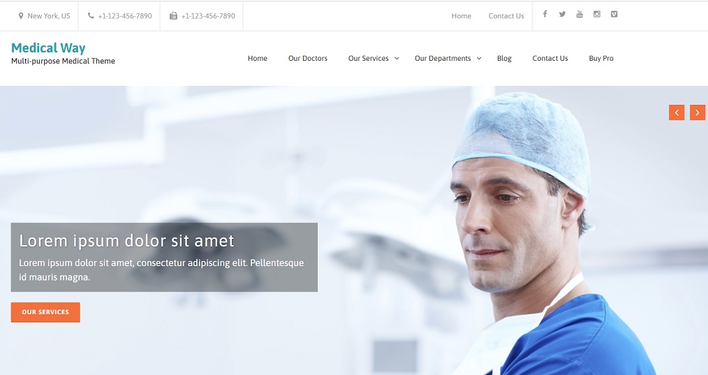 medical way wordpress theme