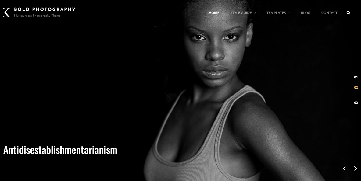 bold photograpy wordpress theme