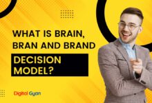 brain bran and brand decision model