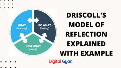 driscoll's model of reflection explained with example