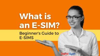 what is e-sim