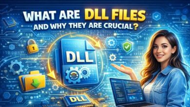 importance of dll files