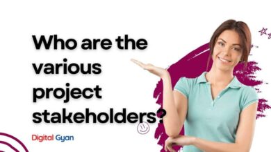 project stakeholders