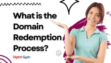 domain redemption process