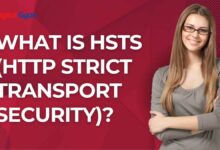 what is hsts
