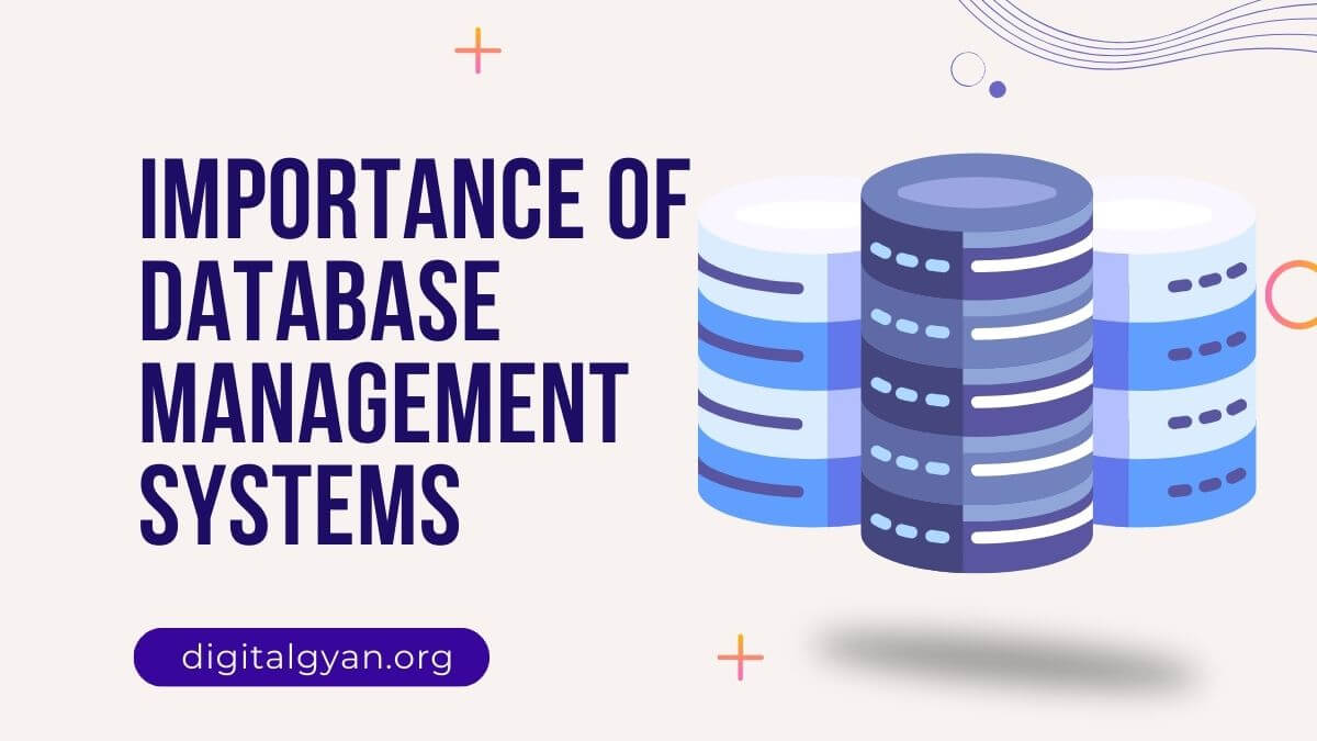 importance of database management systems