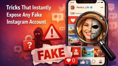 expose fake instagram account