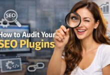 audit your seo plugins