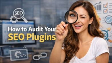 audit your seo plugins